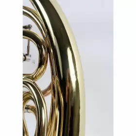 USED006013 GIARDINELLI Double Horn #3
