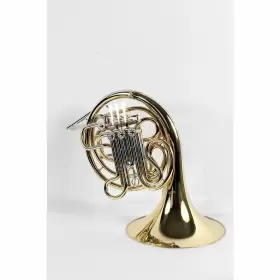 USED006013 GIARDINELLI Double Horn