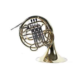 USED006017 GIARDINELLI Double Horn