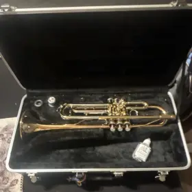 TR22010297 GIARDINELLI Lacquered Trumpet Mouthpiece Valve Oil