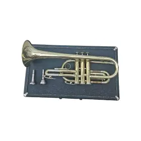 C602 HOLTON Cornet Mouthpiece