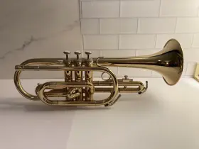 C605 HOLTON Collegiate Shepherds Crook Cornet