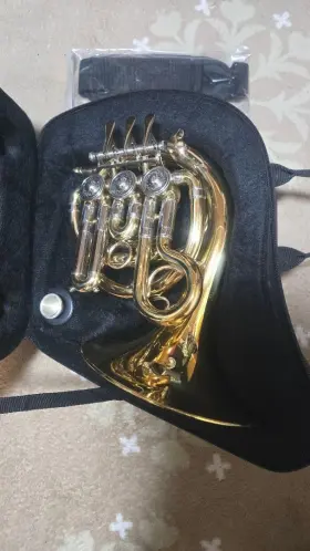 534545001346 J.MICHAEL Pocket Horn Wind