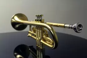055632202488 JOHN PACKER Trumpet Jp Taylor Flat Golden #2