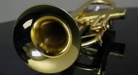 055632202488 JOHN PACKER Trumpet Jp Taylor Flat Golden #3