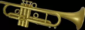 055632202488 JOHN PACKER Trumpet Jp Taylor Flat Golden