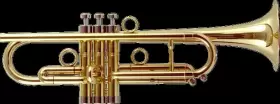 055632202952 JOHN PACKER Trumpet Jp Taylor Flat Golden