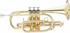JP071 JOHN PACKER Cornet