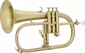 JP175ST JOHN PACKER Flugel Horn