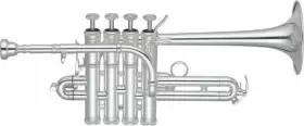 JP254SWS JOHN PACKER Piccolo Trumpet