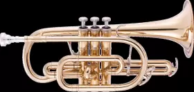 JP271SW JOHN PACKER Cornet