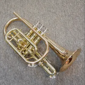 J31590 JUPITER Carnegie Cornet