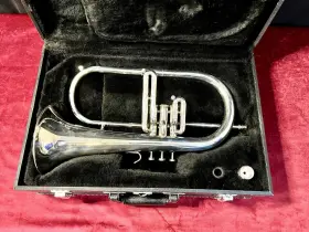 JFH-846 JUPITER Flugelhorn Gorgeous #2