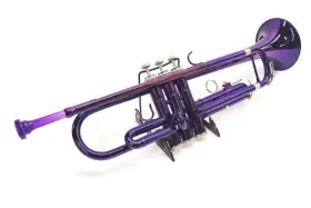 TRP-1000PL KAISER Kaizer Student Trumpet #2