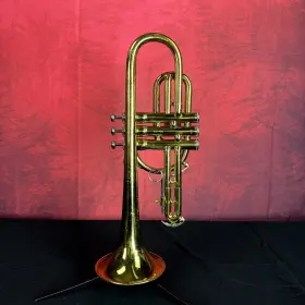 072501072501 KING Cornet Outfit #2