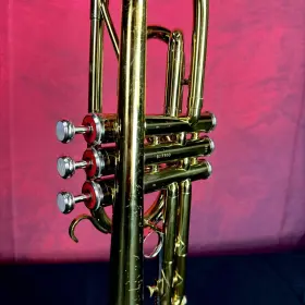 072501072501 KING Cornet Outfit #3