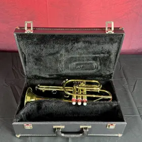 072501072501 KING Cornet Outfit