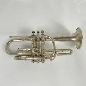 210000033905 KING Master Cornet
