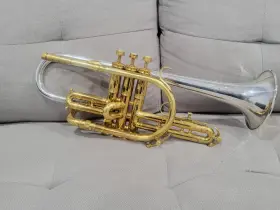 331433 KING Silversonic Cornet