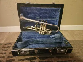 361481 KING Sonic Cornet