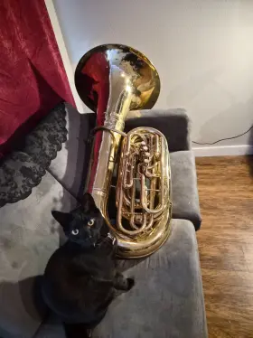 716801 KING Tuba