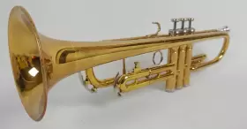 TEMPO-600 KING Trumpet Mouthpiece Play #2