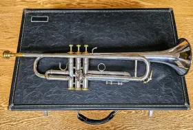34215 LA BENGE Trumpet Resno Tempered #2