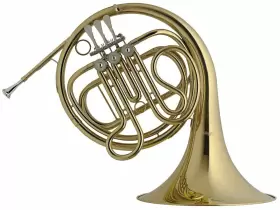 WS-HR245 LEVANTE Stagg Single French Horn Set Up