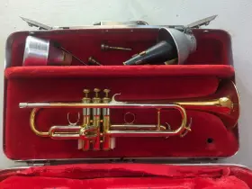 213607 MARTIN Committee Trumpet