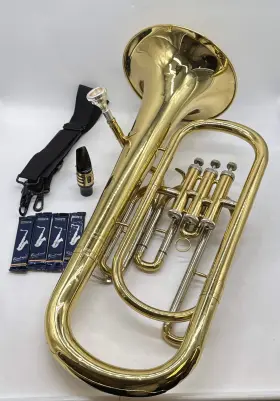 MBR-30L MENDINI BY CECILIO Flat Euphonium