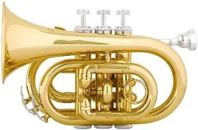 847848015137 MENDINI BY CECILIO Mpt Sd Pocket Trumpet Tuner #2