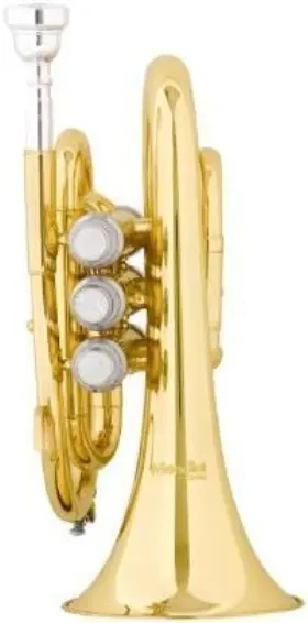 847848015137 MENDINI BY CECILIO Mpt Sd Pocket Trumpet Tuner #3