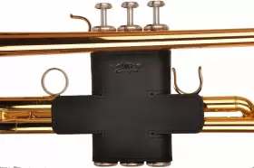 728488501146 MG Trumpet Valve Guard #3