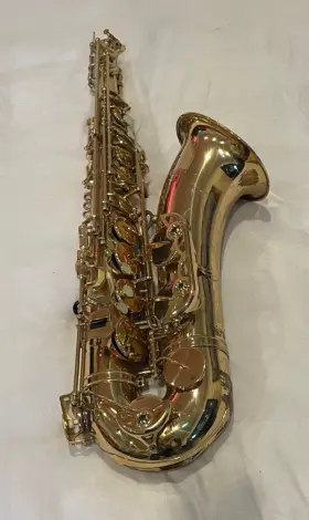 YEP201MS MUSICA Tenor Saxophone Sax Neck Mouthpiece