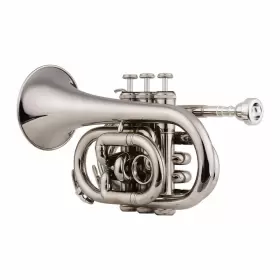 NZZ1717449811210CB MUSLADY Pocket Trumpet Flat Material Wind #2