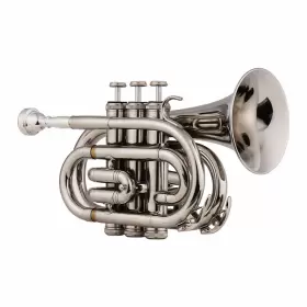 NZZ1717449811210CB MUSLADY Pocket Trumpet Flat Material Wind #3