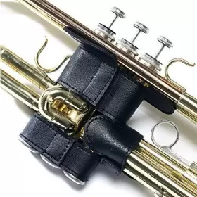 741025227613 PAMPET Trumpet Valve Guard #2