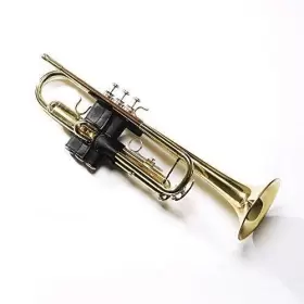741025227613 PAMPET Trumpet Valve Guard #3