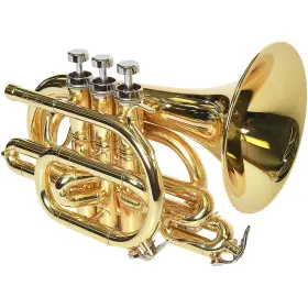 USED005002 PHAETON Pocket Trumpet Rf