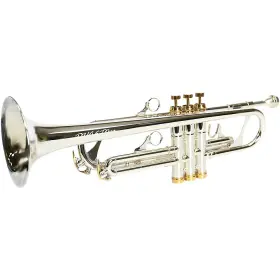 USED005002 PHAETON Trumpet Rf