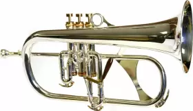 PHTF-2700 PHAETON TRUMPETS Flugelhorn #3