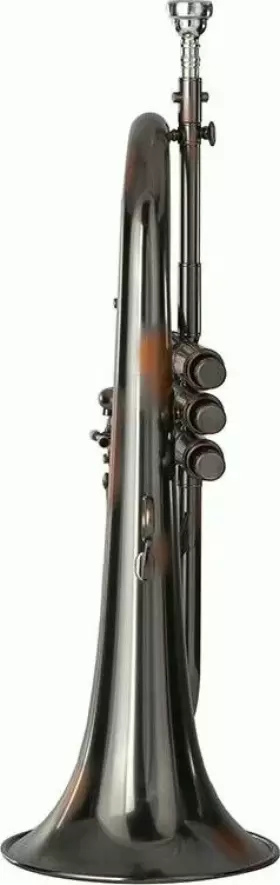 PHTF-2800 PHAETON TRUMPETS Flugelhorn #2