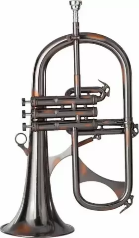PHTF-2800 PHAETON TRUMPETS Flugelhorn #3