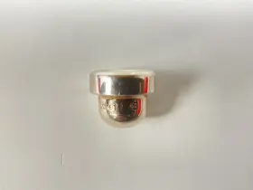 210000040062 PICKETT Trumpet Top