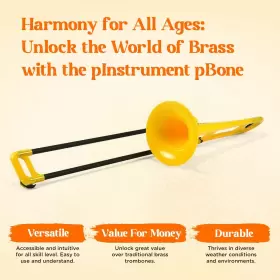 641064829321 Pinstrument Pbone Trombone Mouthpieces Bag #2