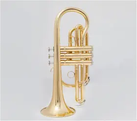 765279842620 PLAYWELL Cornet Trumpet Mouthpiece Musical