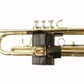 750793625910 PROTEC Trumpet Valve Guard #2