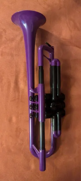 PTRUMPET2B PTRUMPET Warwick Pinstrument Trumpet Mouthpiece
