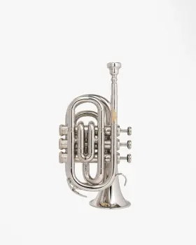 TB-0036 QUEENBRASS Queen Flat Pocket Trumpet Finish