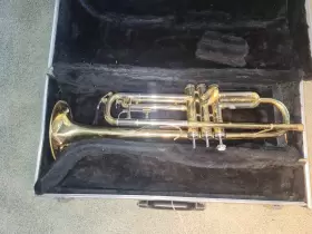 805232087726 ROSSETTI Trumpet Cornet Repair Decoration